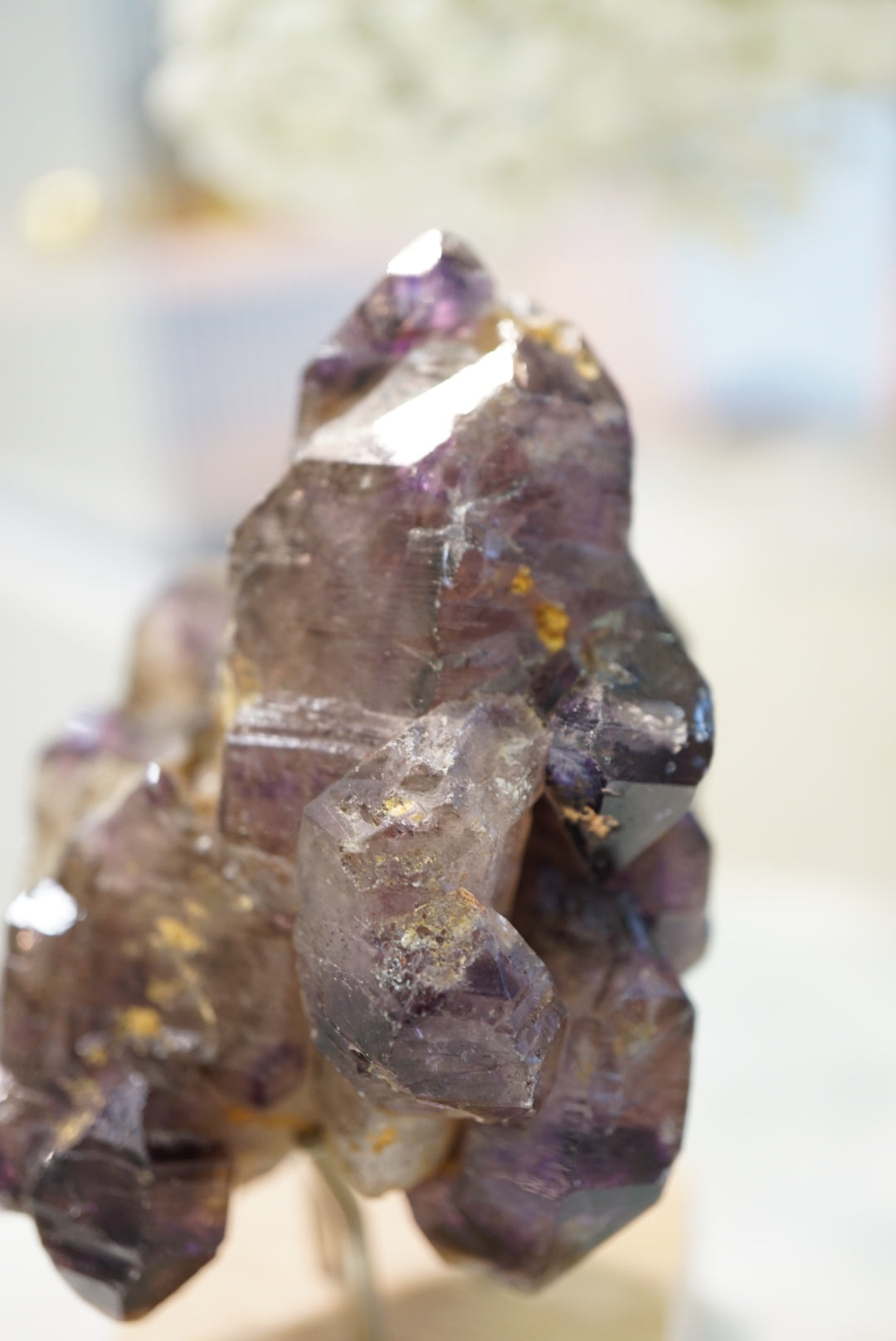 超級七 - ART OF GEM