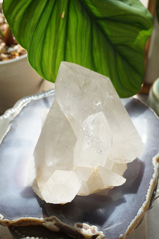 喜馬拉雅白水晶簇 - ART OF GEM