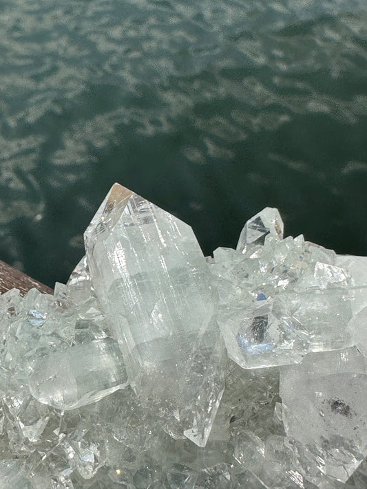 優質 印度鑽石大牙魚眼晶簇 - ART OF GEM