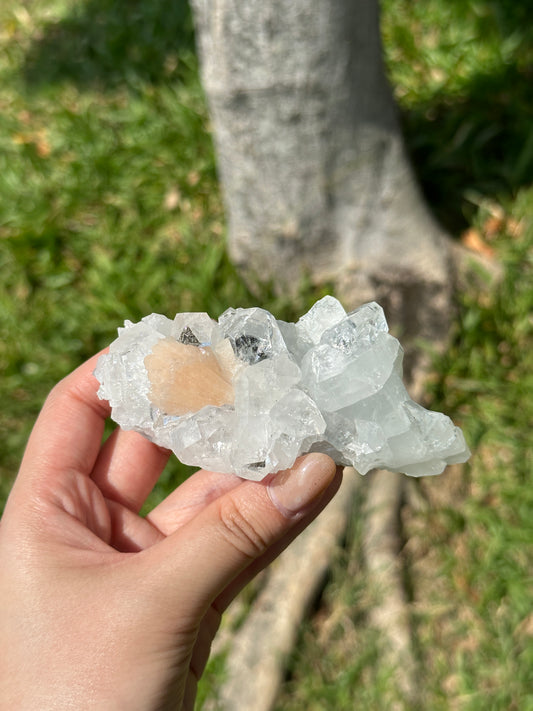 優質 印度鑽石魚眼晶簇共生沸石 - ART OF GEM