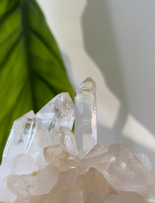 喜馬拉雅白水晶簇 - ART OF GEM