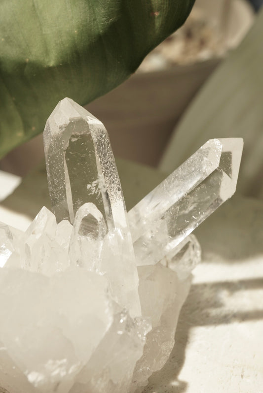 巴西天狼星晶簇 - ART OF GEM