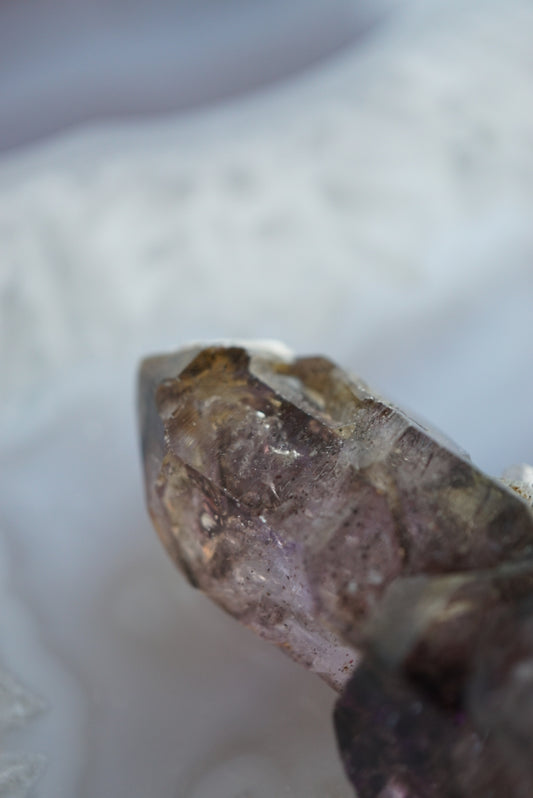 紫髮骨幹超級七 - ART OF GEM