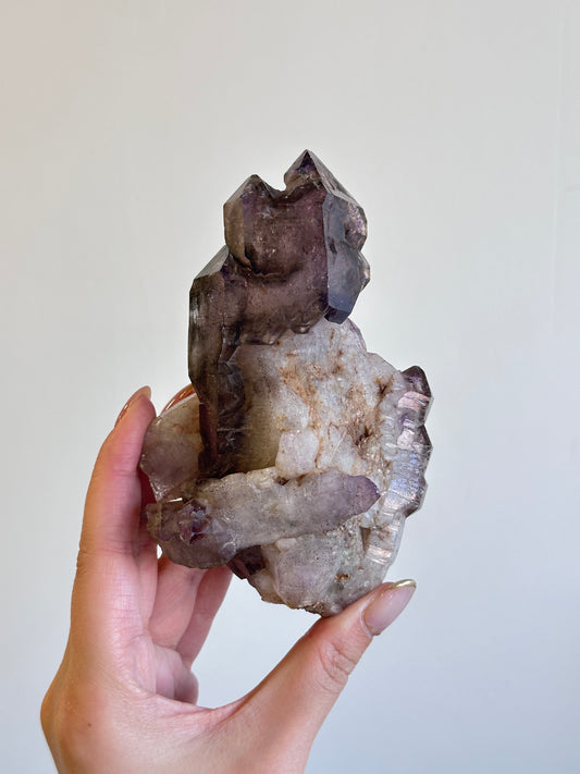 紫髮骨幹超級七 - ART OF GEM