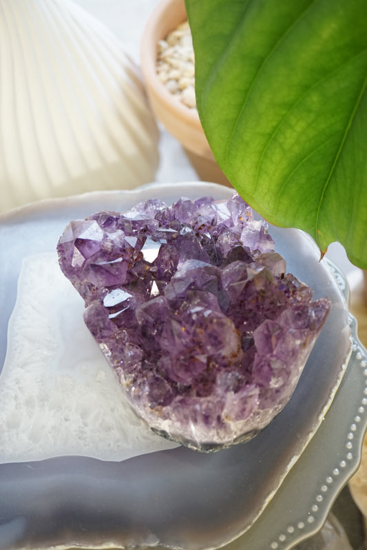 稀有巴西深紫紫鈦晶簇 - ART OF GEM