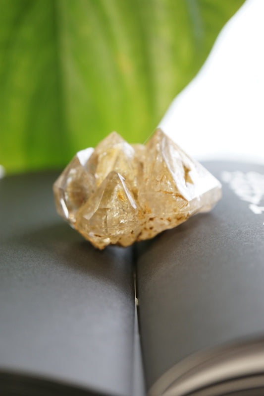 巴基斯坦黃泥骸骨水晶 - ART OF GEM