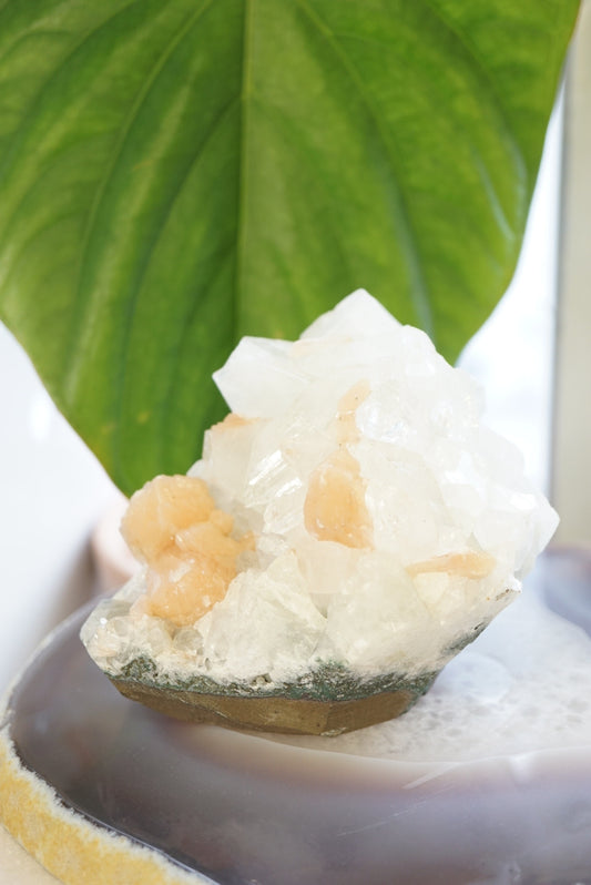 優質 印度鑽石魚眼晶簇共生沸石 - ART OF GEM