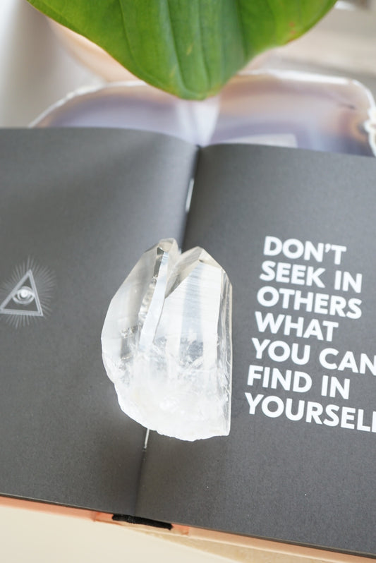 巴西雷姆尼亞種子雙生白水晶 - ART OF GEM