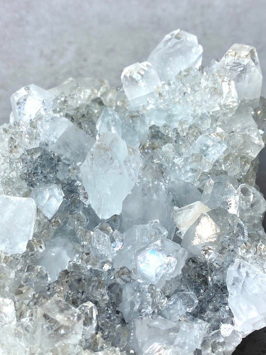 優質印度鑽石大牙魚眼晶簇 - ART OF GEM