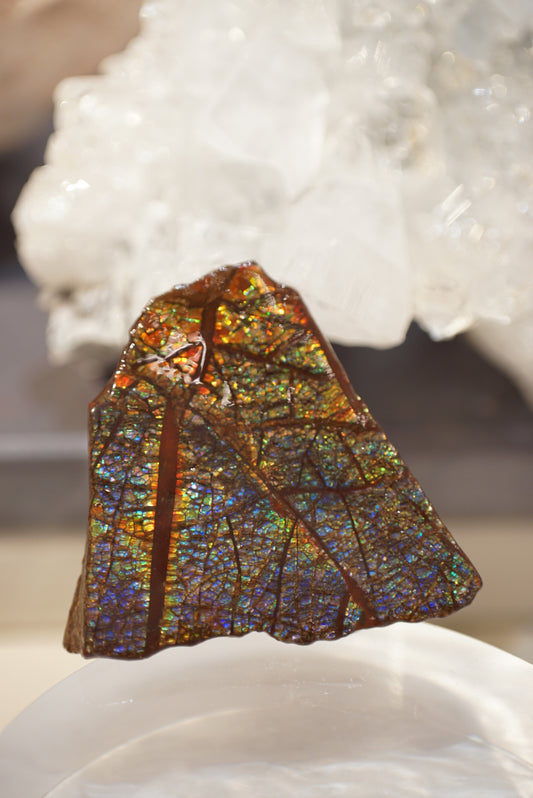 加拿大班彩 - ART OF GEM