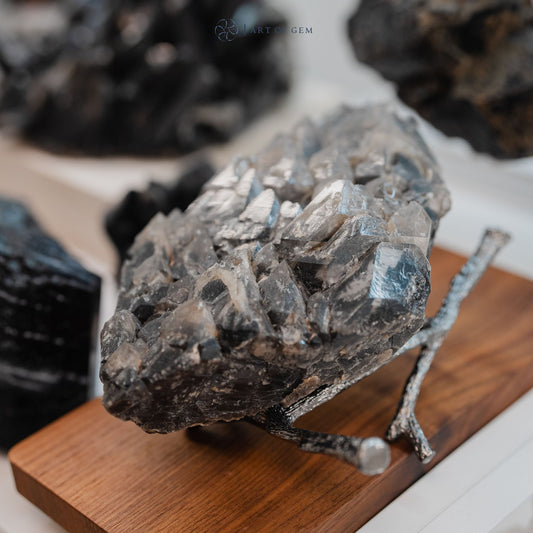 巴西鱷魚骨幹黑水晶 - ART OF GEM