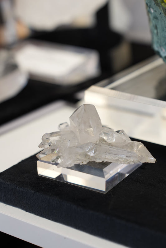 巴西天狼星晶簇 - ART OF GEM