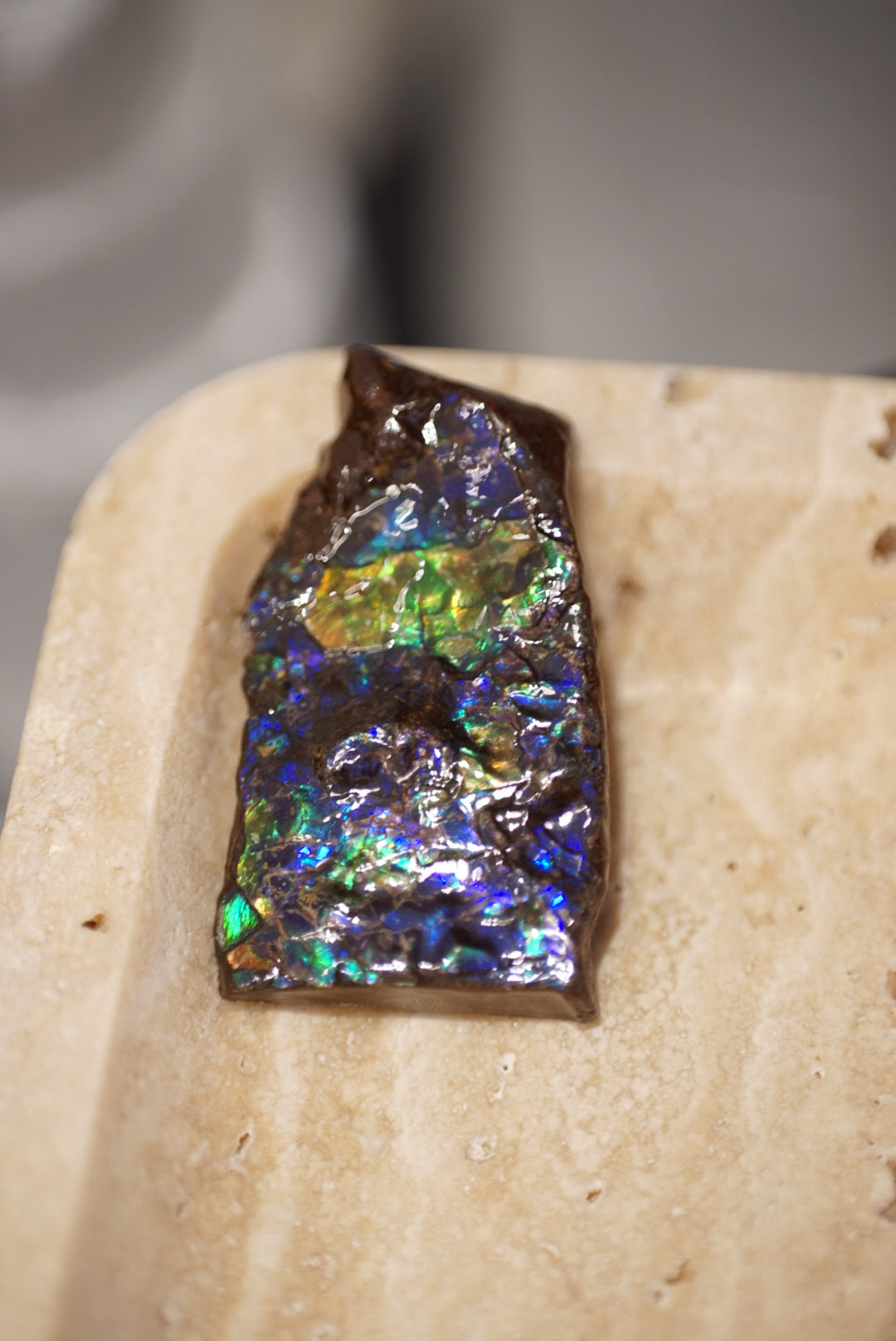 加拿大班彩 Canada Ammolite - ART OF GEM