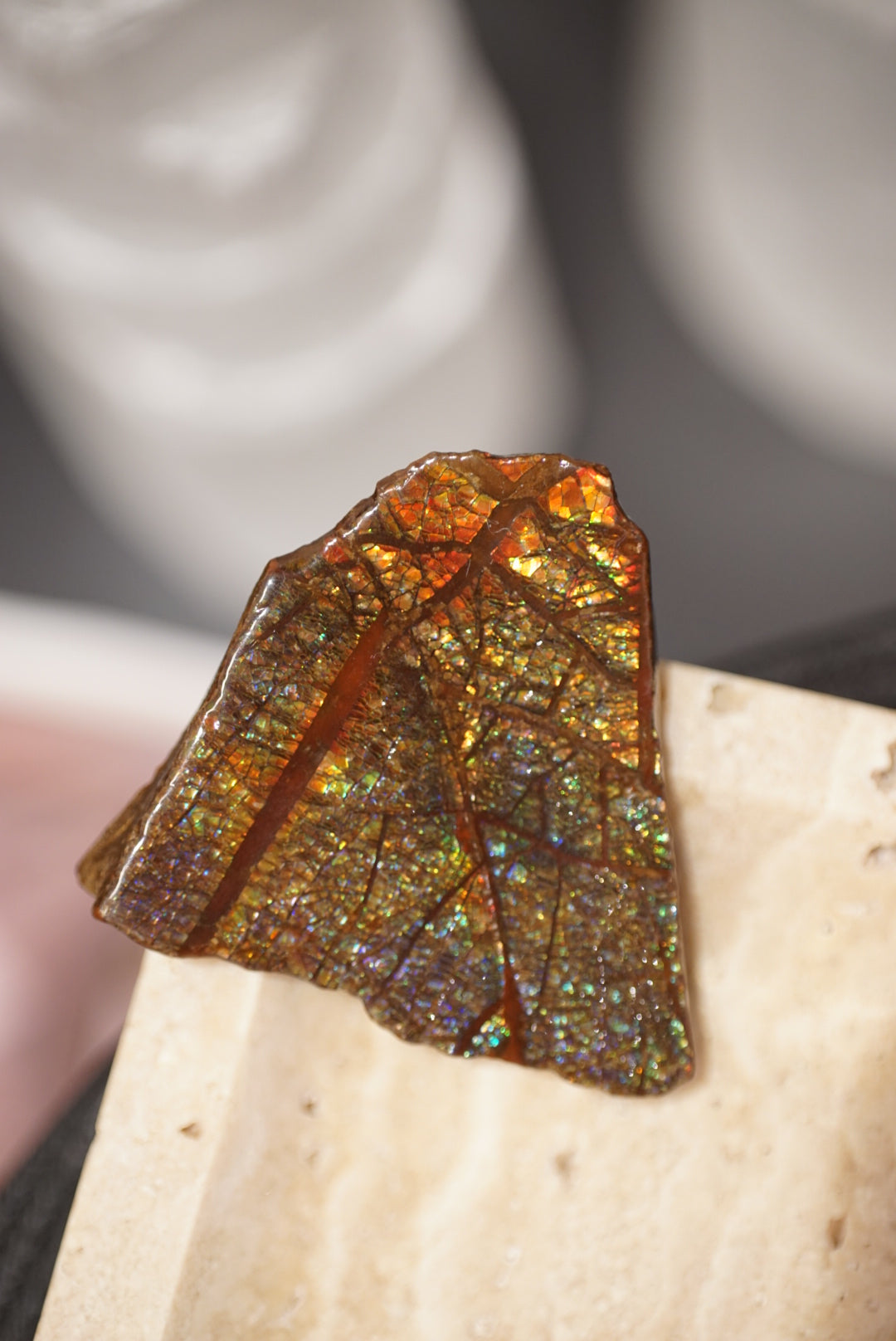 加拿大班彩 Canada Ammolite - ART OF GEM