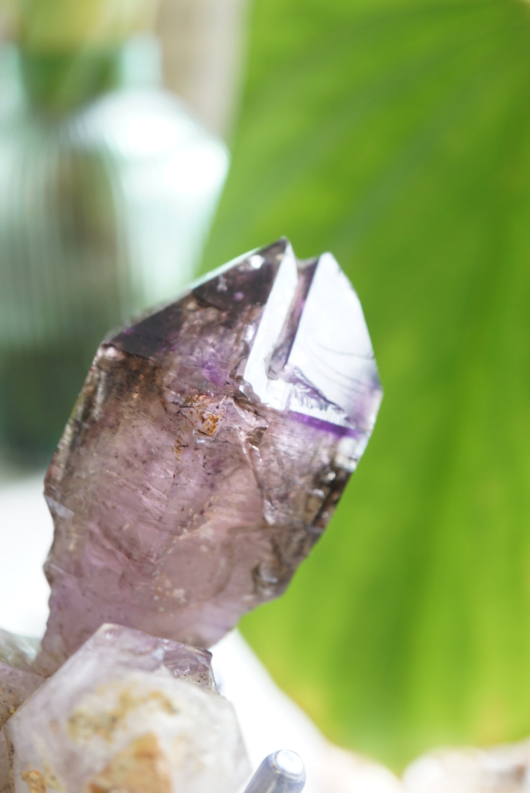 V型紫髮超級七 Raw Super Seven - ART OF GEM