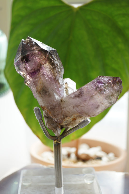 V型紫髮超級七 - ART OF GEM