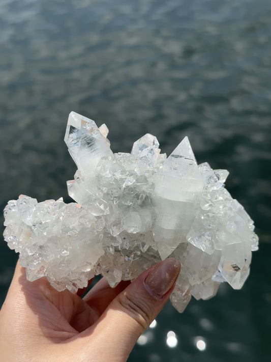 優質 印度鑽石大牙魚眼晶簇