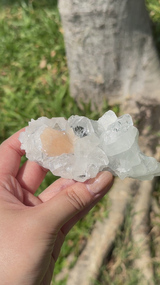 優質 印度鑽石魚眼晶簇共生沸石