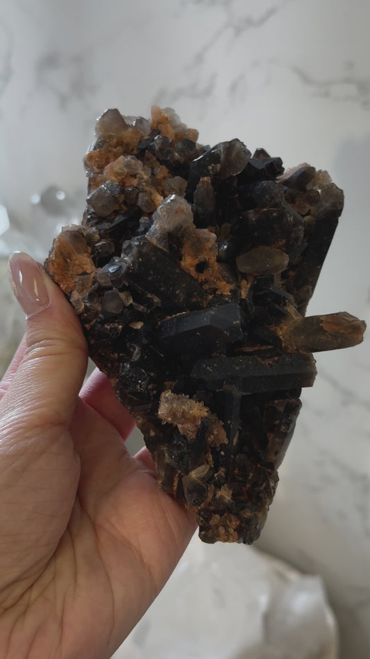 Brazil Black Cluster