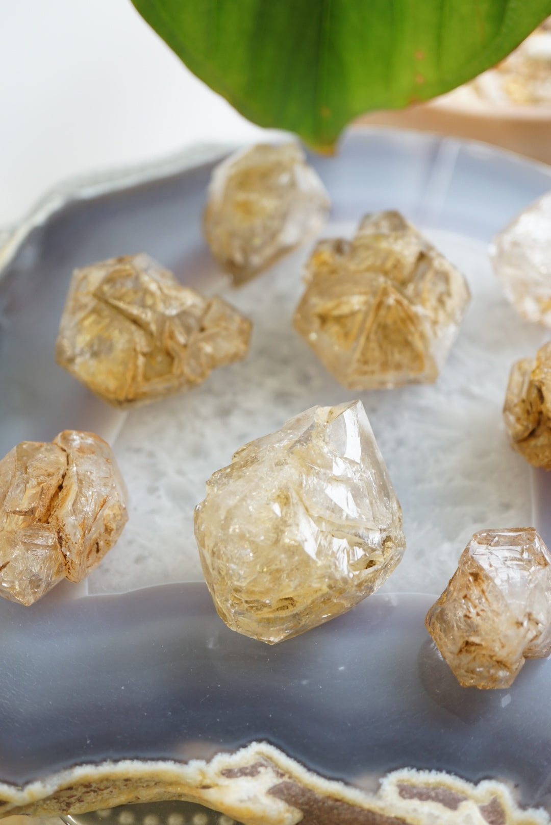 骸骨水晶