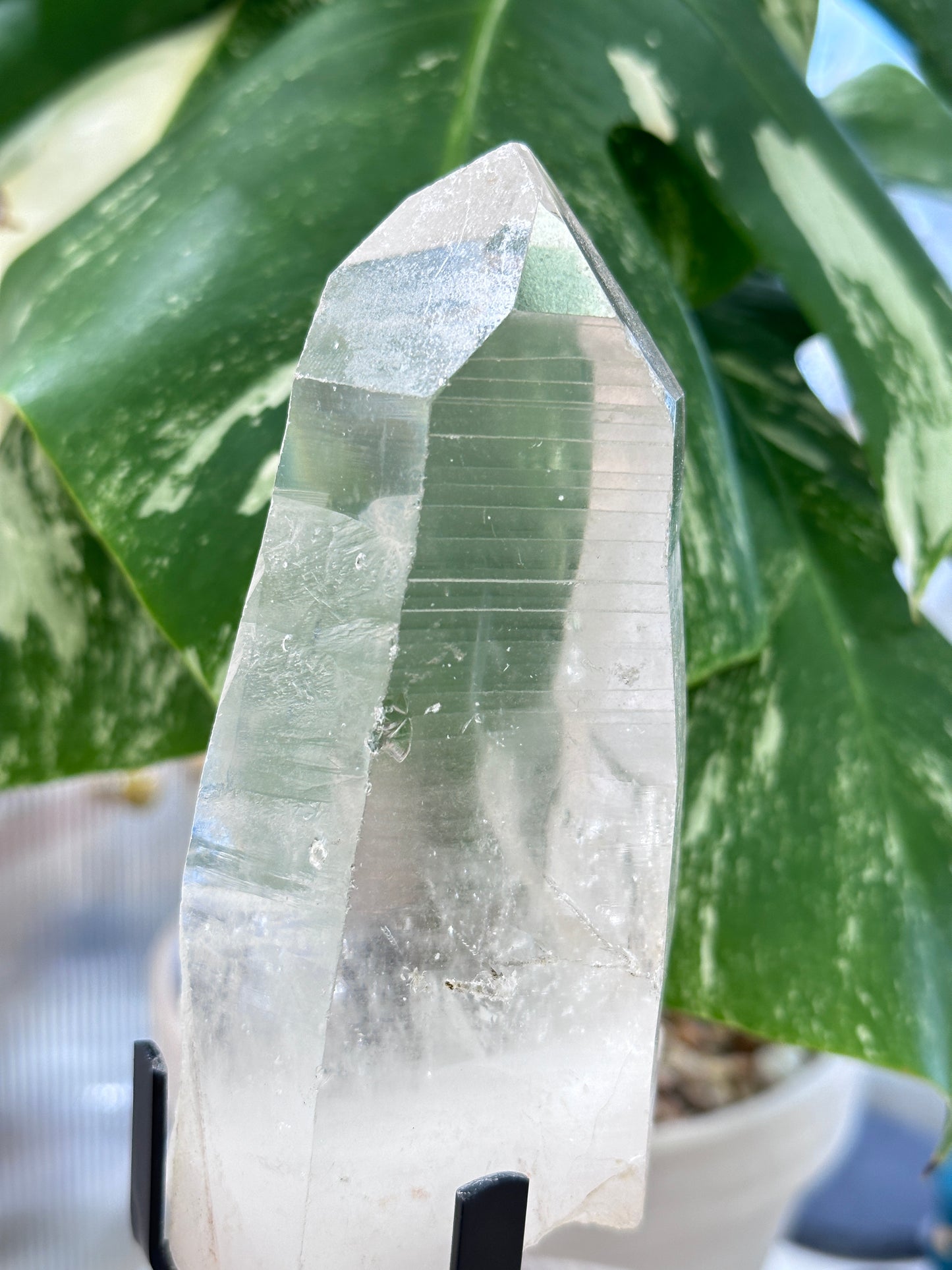 巴西杜氏白水晶 Brazil Dow White Quartz