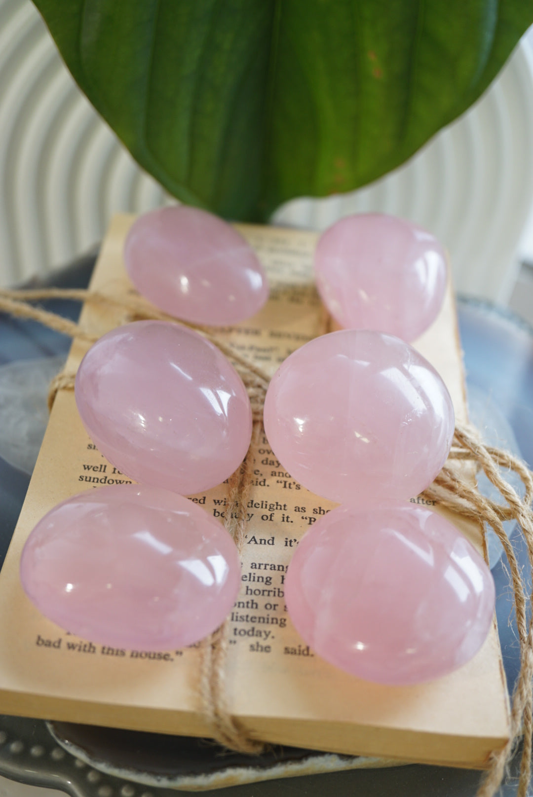 莫桑比亞星光粉晶Rose Quartz from Mozambique