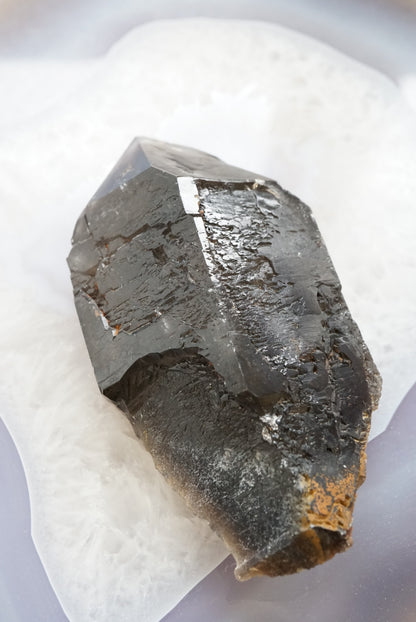 巴西鱷魚骨幹黑水晶 Brazil Black Skeletal Quartz / Elestial Crystal - ART OF GEM 