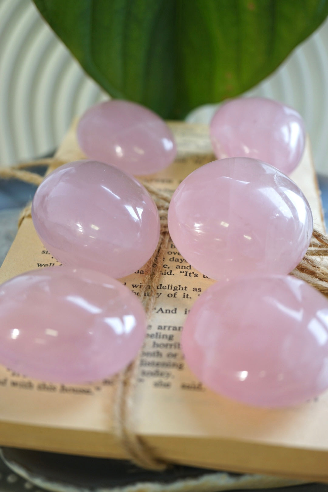 莫桑比亞星光粉晶Rose Quartz from Mozambique