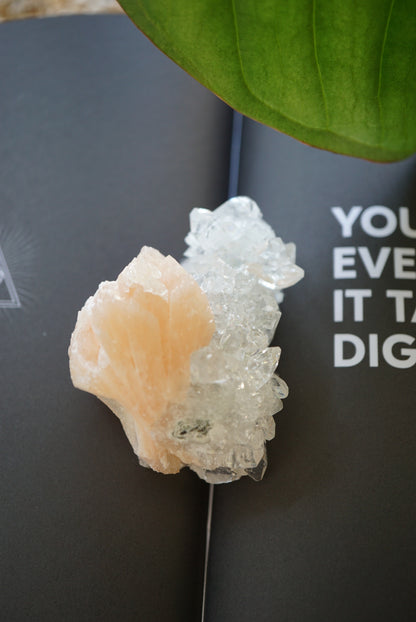 Top quality 印度鑽石魚眼晶簇共生沸石 Raw India Diamond Apophyllite with stilbite - ART OF GEM 