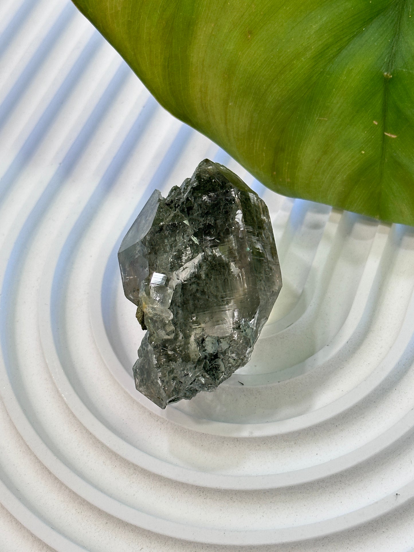 印度喜馬拉雅綠幽靈水晶 India Himalayan White Quartz with green phantom