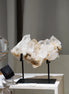 3KG 收藏級印度黃金喜馬拉雅水晶簇 - ART OF GEM 