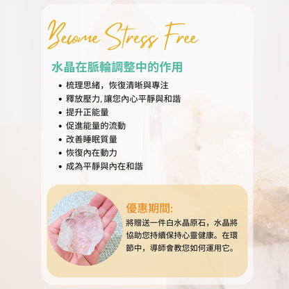 專屬脈輪啟動服務 (Elizabeth)