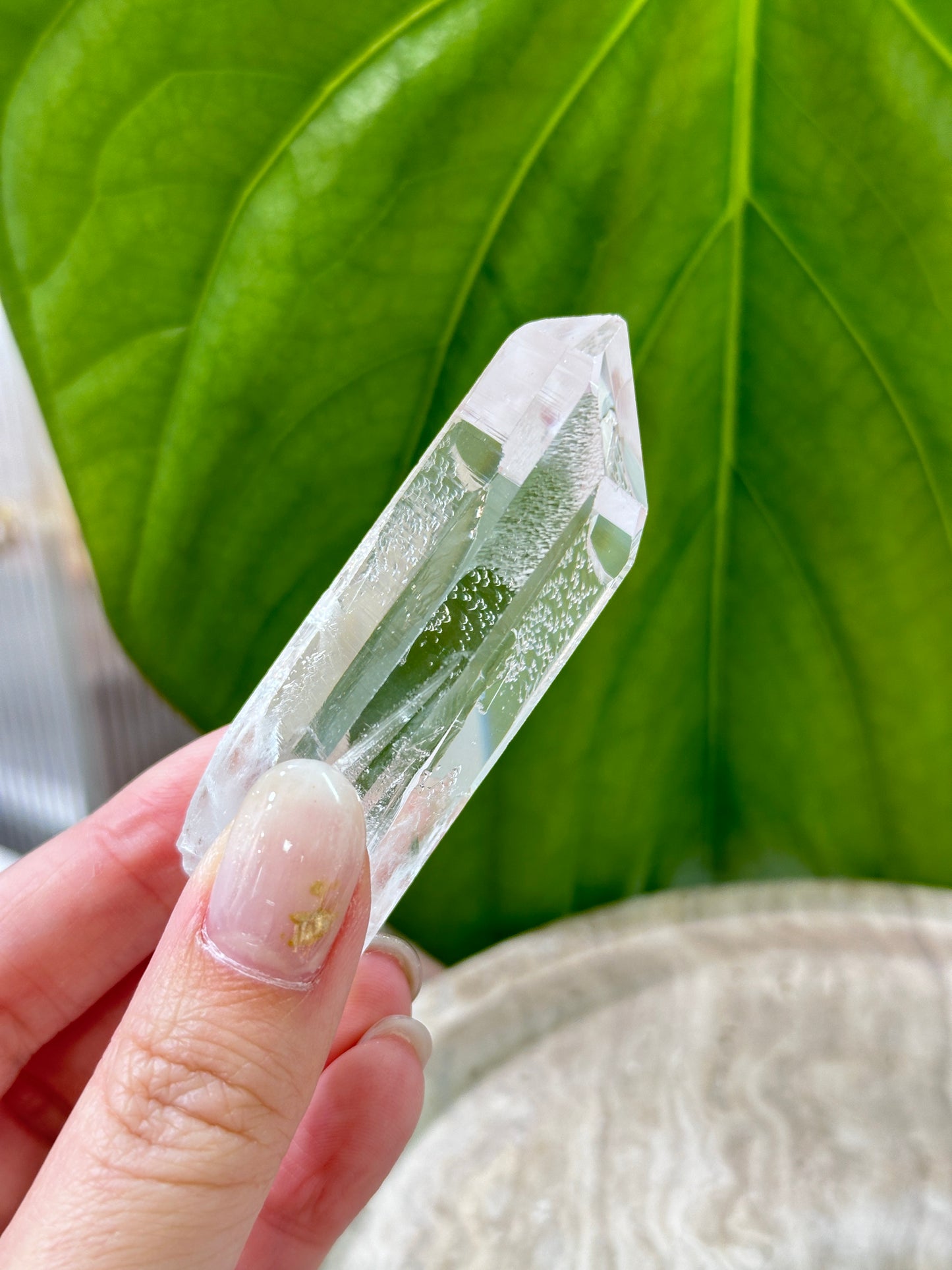 巴西雷姆尼亞天狼星白水晶 Brazil Lemurian Seed and Sirius White Quartz