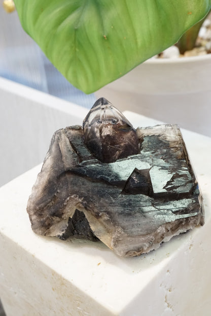 巴西鱷魚骨幹黑水晶 Brazil Black Skeletal Quartz / Elestial Crystal - ART OF GEM 
