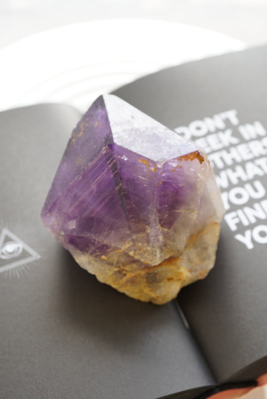 剛果大牙紫晶 Congo Amethyst