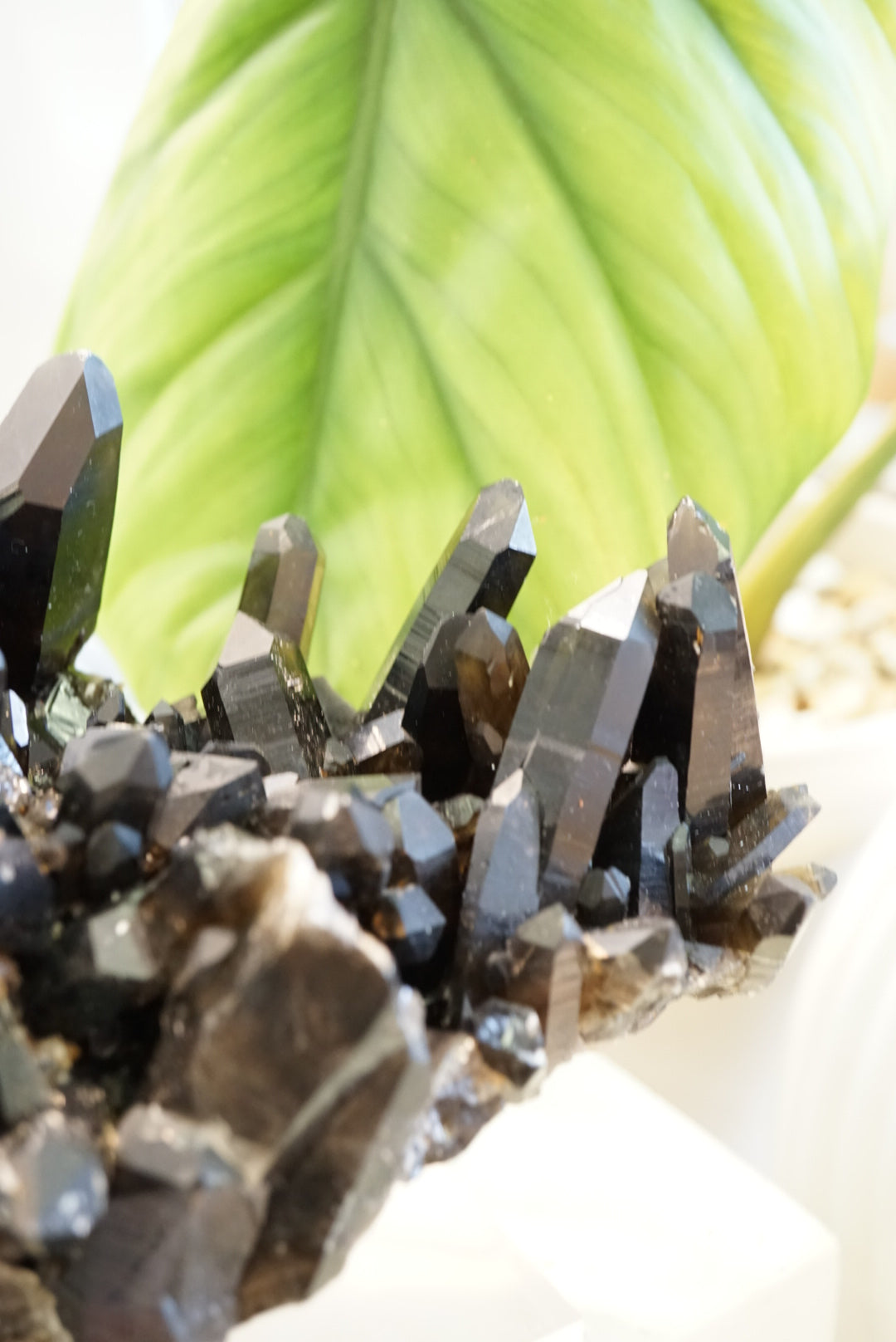 黑水晶簇 Black Quartz Cluster