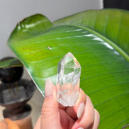 印度喜馬拉雅白水晶
