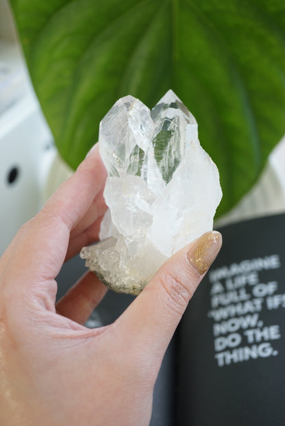 印度喜馬拉雅白水晶 India Himalayan White Quartz - ART OF GEM 