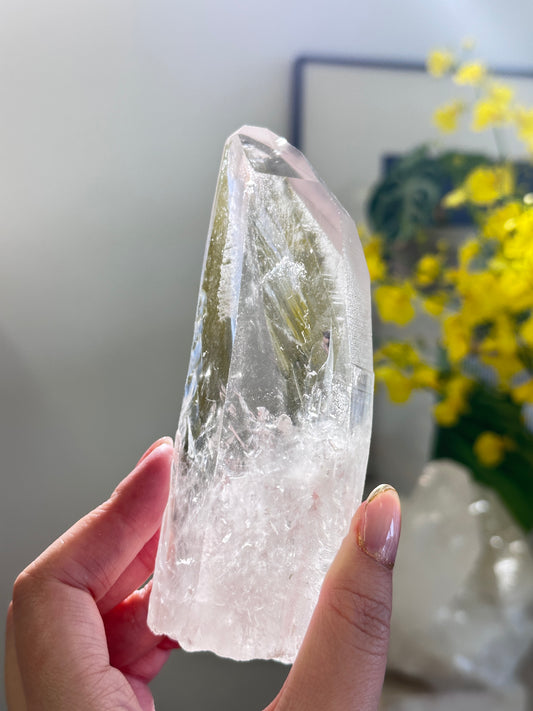 巴西雷姆尼亞種子白水晶 Lemurian Seed Crystal