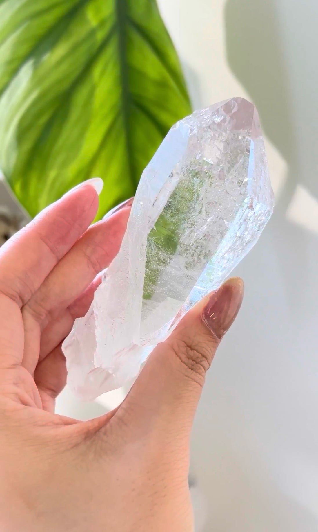 印度喜馬拉雅白水晶