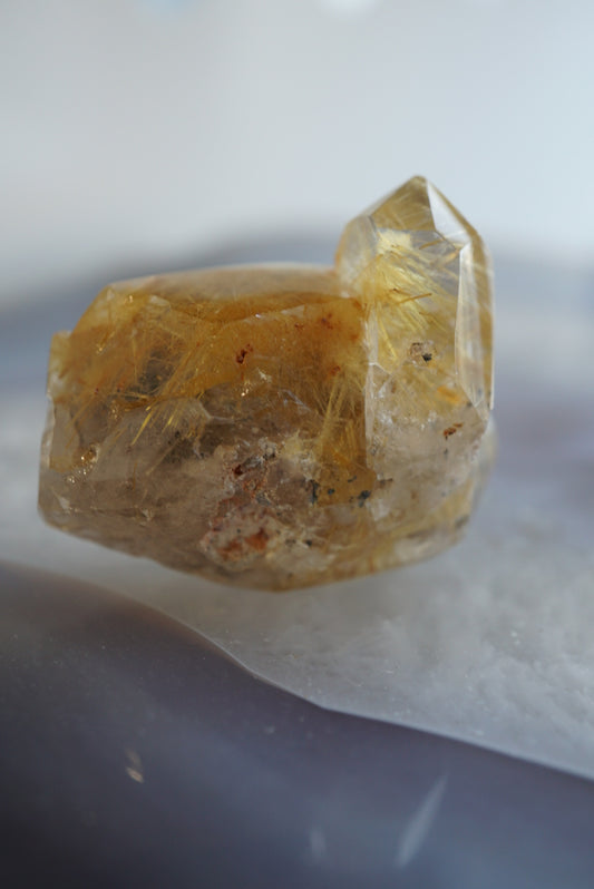 巴西金鈦晶 Golden Rutiled Quartz