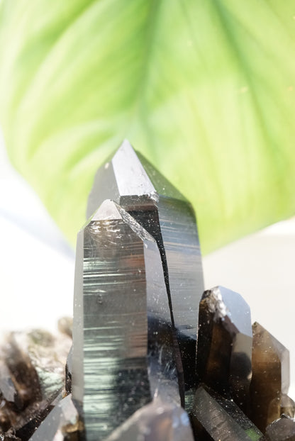 黑水晶簇 Black Quartz Cluster - ART OF GEM 