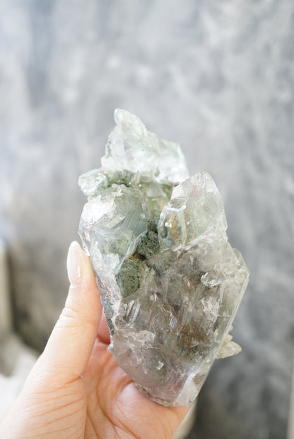 印度喜馬拉雅綠幽靈金髮晶白水晶 （帶資料庫）India Himalayan White Quartz with green phantom and gold rutiled quartz （with record keeper) - ART OF GEM 