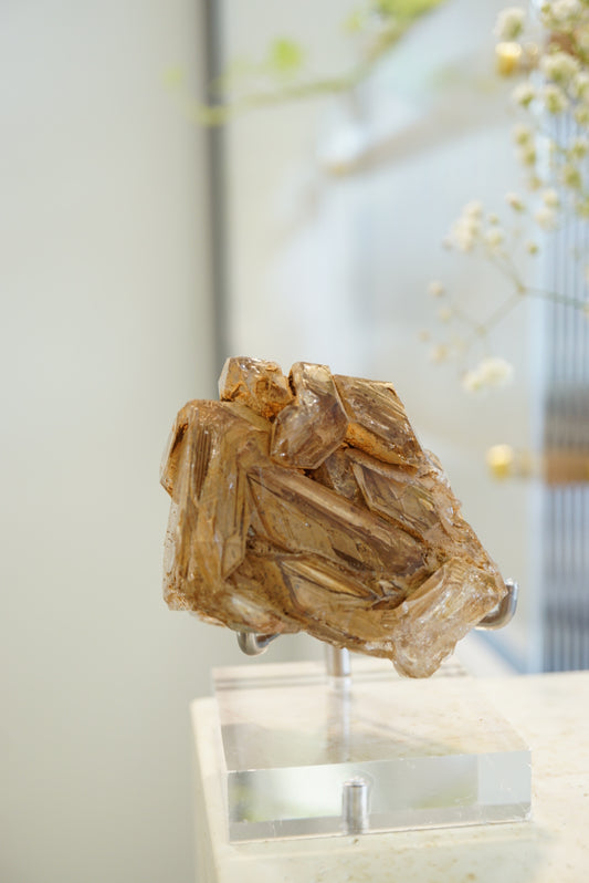 巴基斯坦黃泥骸骨水晶 - ART OF GEM