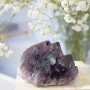 罕有紫晶骸骨骨幹 - ART OF GEM 