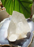 喜馬拉雅白水晶簇 - ART OF GEM 