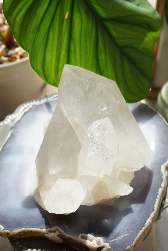 喜馬拉雅白水晶簇 - ART OF GEM 