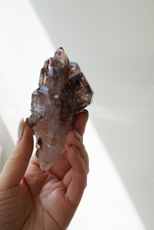 紫髮骨幹骸骨城堡超級七 - ART OF GEM