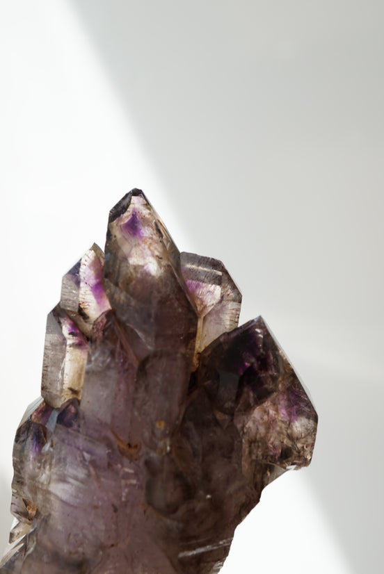 紫髮骨幹骸骨城堡超級七 - ART OF GEM 