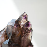 紫髮骨幹骸骨城堡超級七 - ART OF GEM 